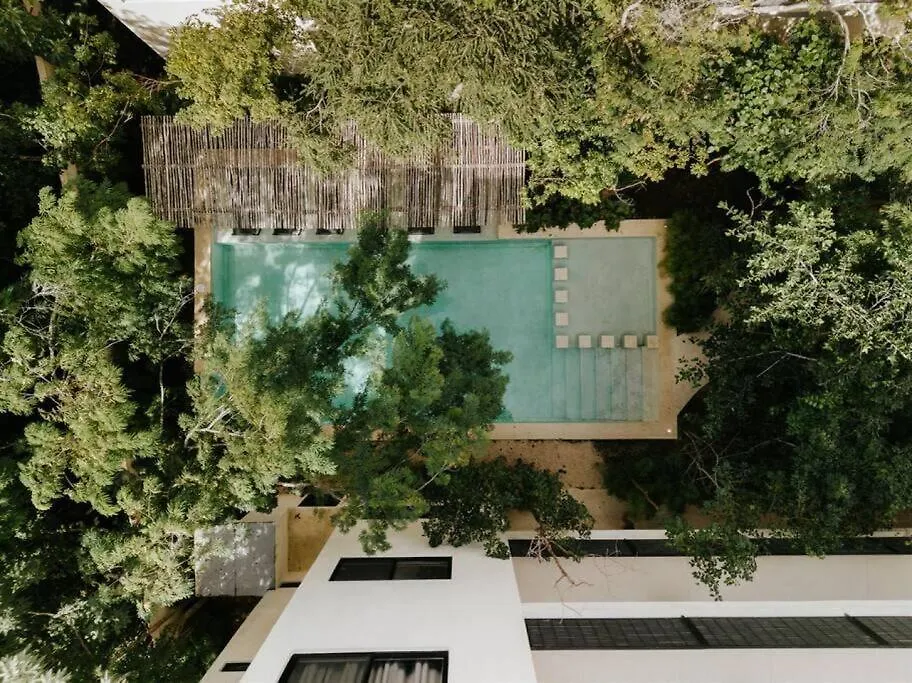 图卢姆Casa Coba Sol Penthouse Pool Aldea Zama公寓 公寓 图卢姆